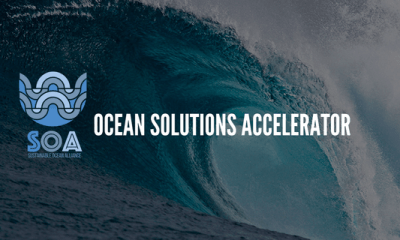 Ocean Solutions Accelerator doubles down on blue economy with new track for later-stage companies – TechCrunch