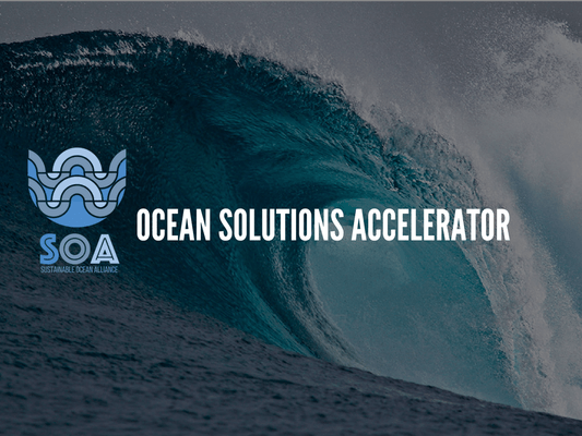 Ocean Solutions Accelerator doubles down on blue economy with new track for later-stage companies – TechCrunch