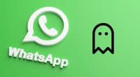 Whatsapp message disappear
