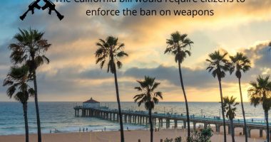The California bill would require citizens to enforce the ban on weapons