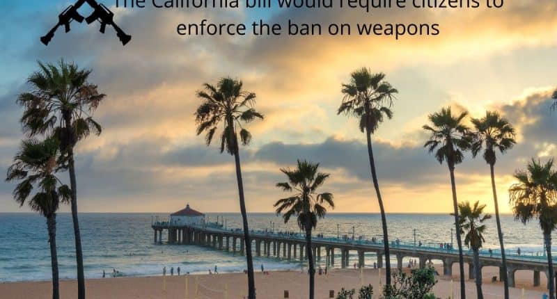 The California bill would require citizens to enforce the ban on weapons