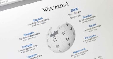 Wikipedia Ordered to Get Rid Of Cursing Content in Pakistan