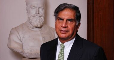 ratan tata quotes